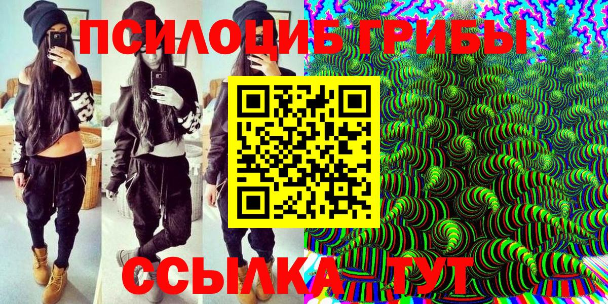 Галлюциногенные грибы Psilocybe Владимир